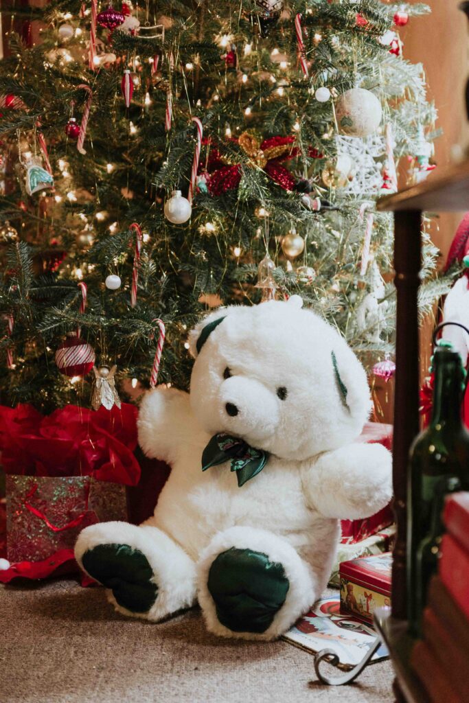 Christmas bear Gift Packaging