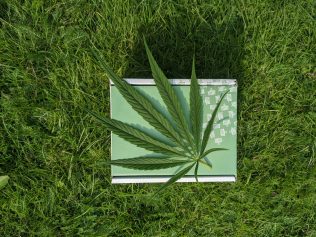 green packaging